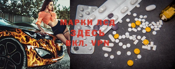 шишки Михайловка
