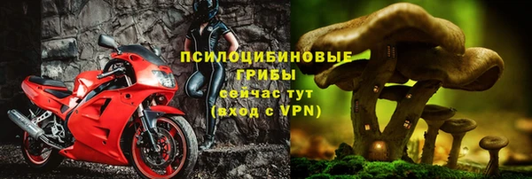 спиды Мегион