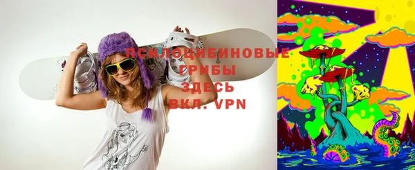 спиды Мегион